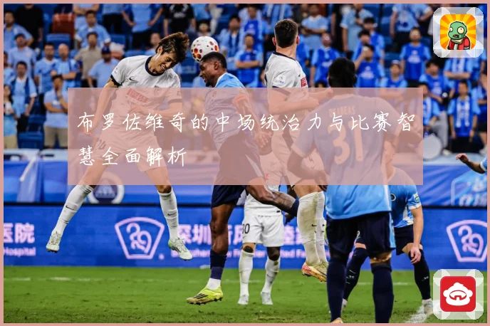布罗佐维奇的中场统治力与比赛智慧全面解析
