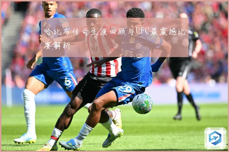 哈比布传奇生涯回顾与UFC最震撼比赛解析
